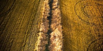 The Impact of USMCA on American Agriculture: A Comprehensive Analysis - Cover Image