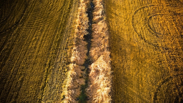 The Impact of USMCA on American Agriculture: A Comprehensive Analysis