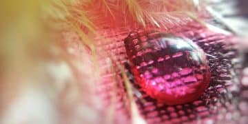 Nanotechnology: Exploring Medical & Manufacturing Breakthroughs - Cover Image
