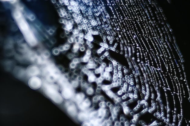 A microscopic view of carbon nanotubes woven into a fabric, symbolizing their strength and potential in manufacturing and material science.