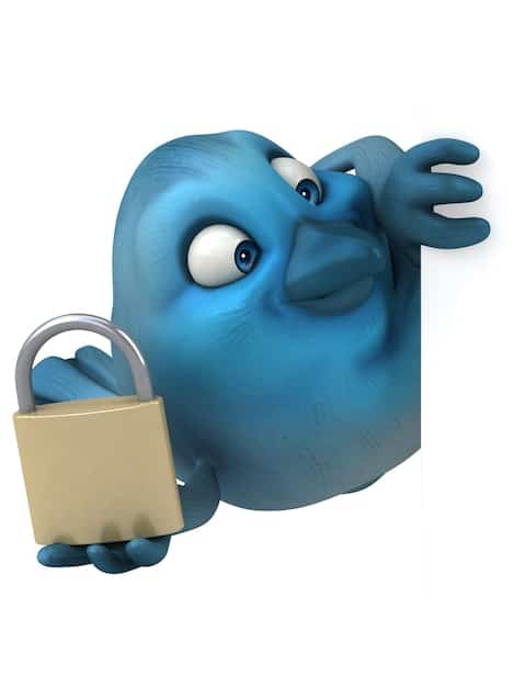 Social Media Updates Article – social_med_zapynewscom_21_1753898440_e91a4c6e_twitters_b.html