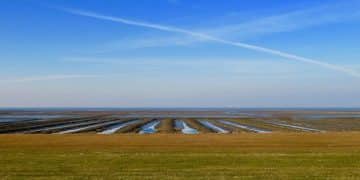 US Government Initiatives: Powering Renewable Energy Innovation - Cover Image