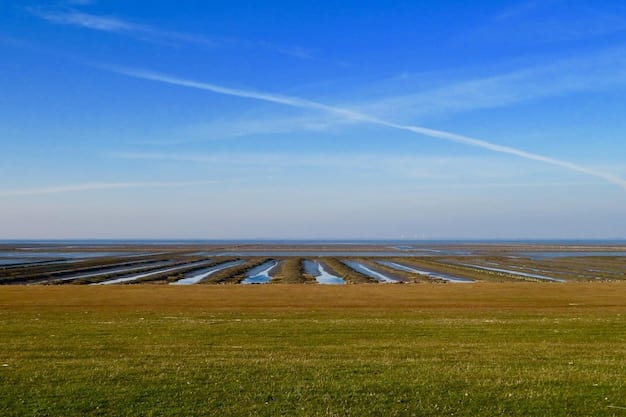 US Government Initiatives: Powering Renewable Energy Innovation