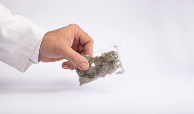 A close-up shot of a hand holding a transparent pouch made from seaweed, displaying its natural texture and translucence. The background features a clean, minimalistic setting to emphasize the eco-friendly and innovative nature of the material, showcasing US Companies Lead the Way in Developing Sustainable Packaging Technologies.