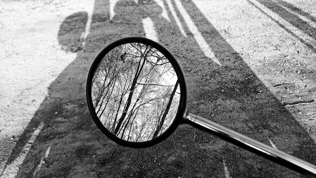 Unmasking the True Crime Obsession: Why We’re Hooked