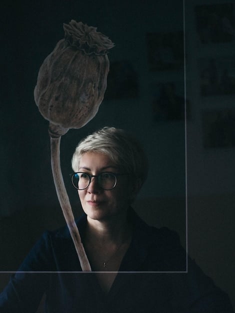 A split-screen image. On one side, a calm, composed face of a psychologist. On the other side, a chaotic crime scene, contrasting the rational mind attempting to understand irrational behavior within The True Crime Obsession: Why Are We So Hooked on These Stories?. The colors are muted and professional for the psychologist's side, and stark and disturbing for the crime scene.